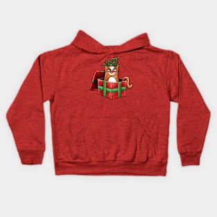 Gift Wrapped Cat Kids Hoodie